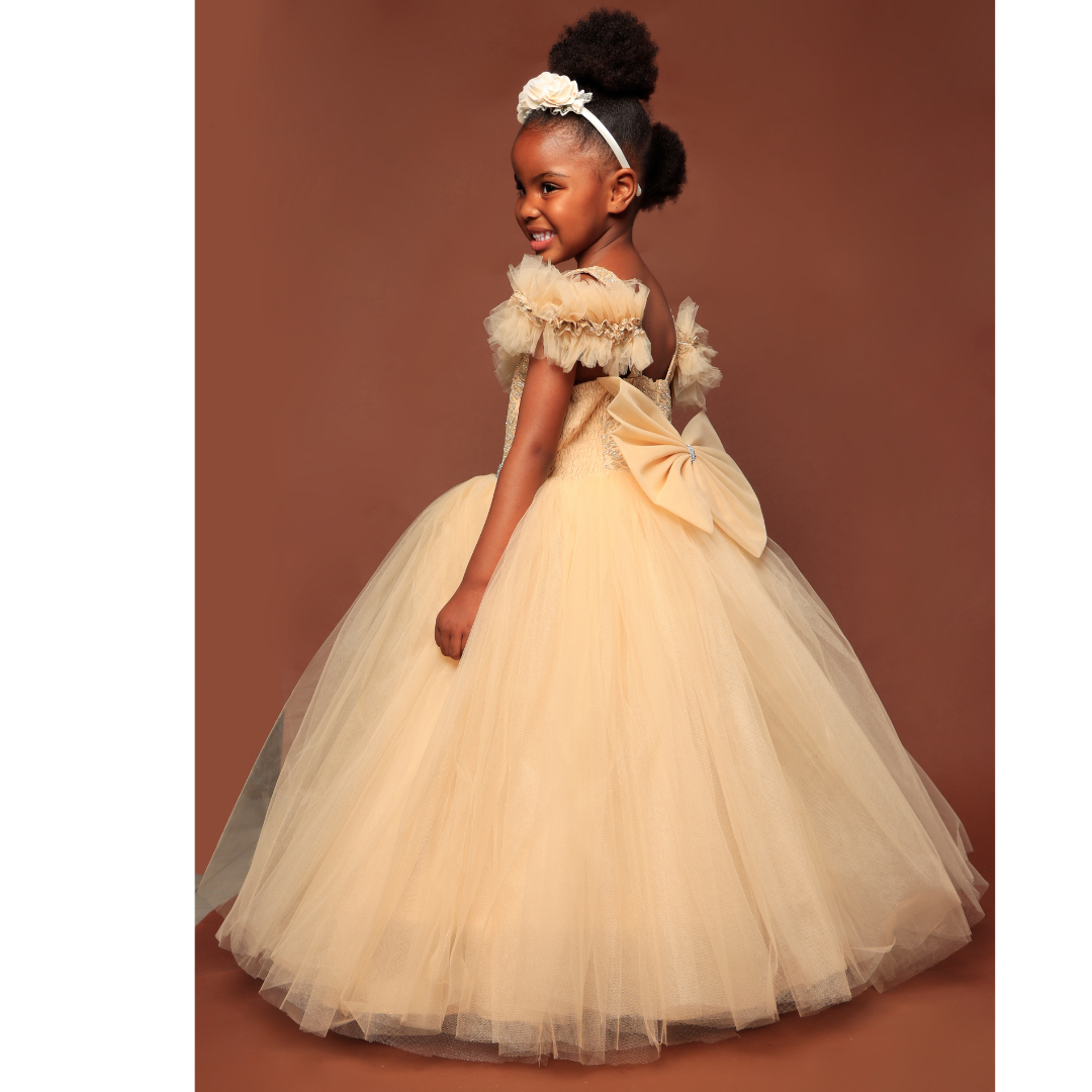 Cinderella sales dress shop