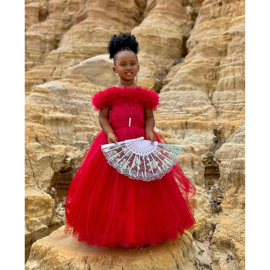 Cinderella gown for sales girl